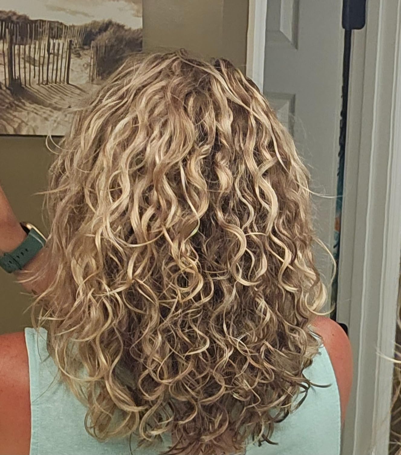 Wavytalk Turblow Pro customer photo 1