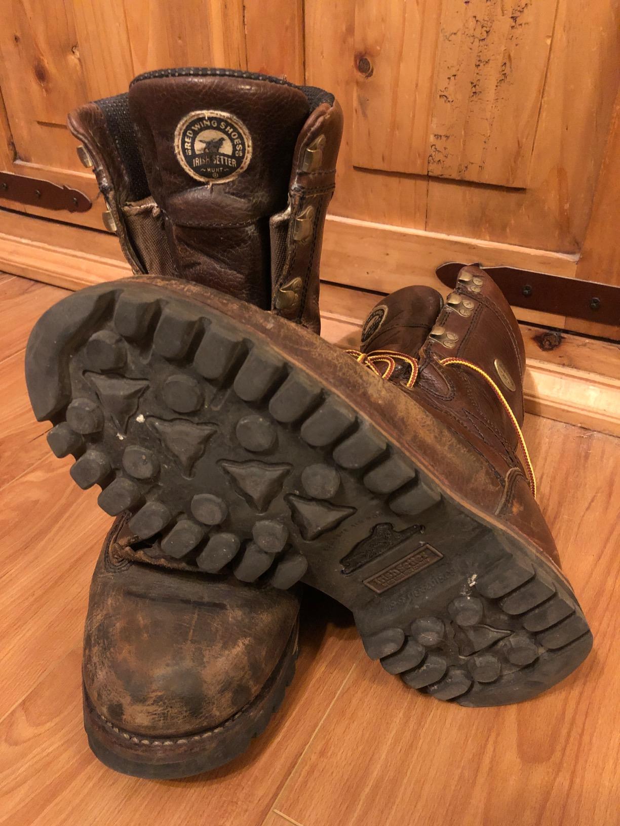 Irish Setter Elk Tracker 12