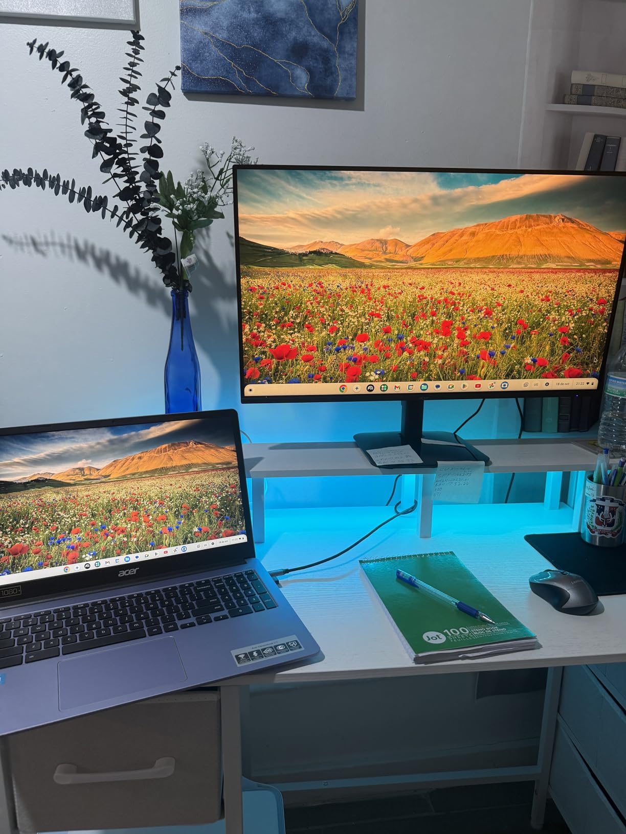 Acer KB272 G0bi customer photo 2