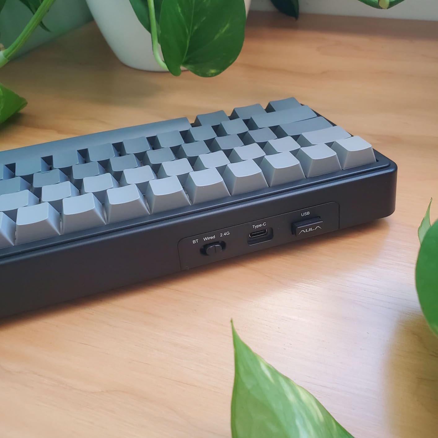EPOMAKER x Aula F65 65% Wireless Hot-Swappable Gasket Mechanical Keyboard customer photo 1