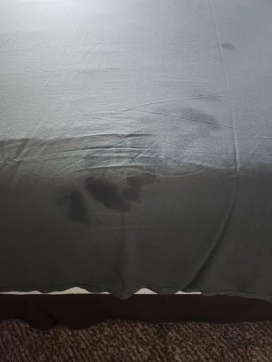 Cariloha Aloha Soft Bamboo Viscose Sheet Set - Natural - Queen customer photo 2