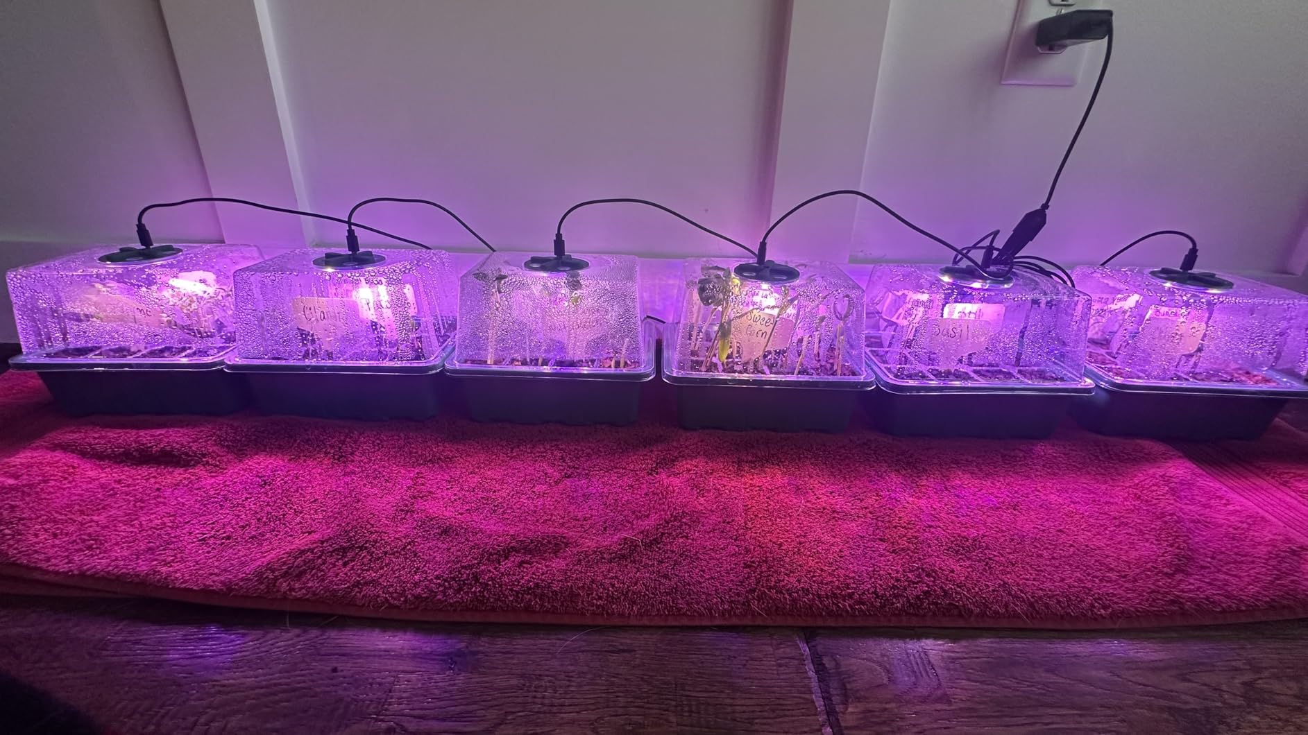 MIXC 6 Pack Seed Starter Kit with Grow Light, Vented Humidity Dome, Green customer photo 2
