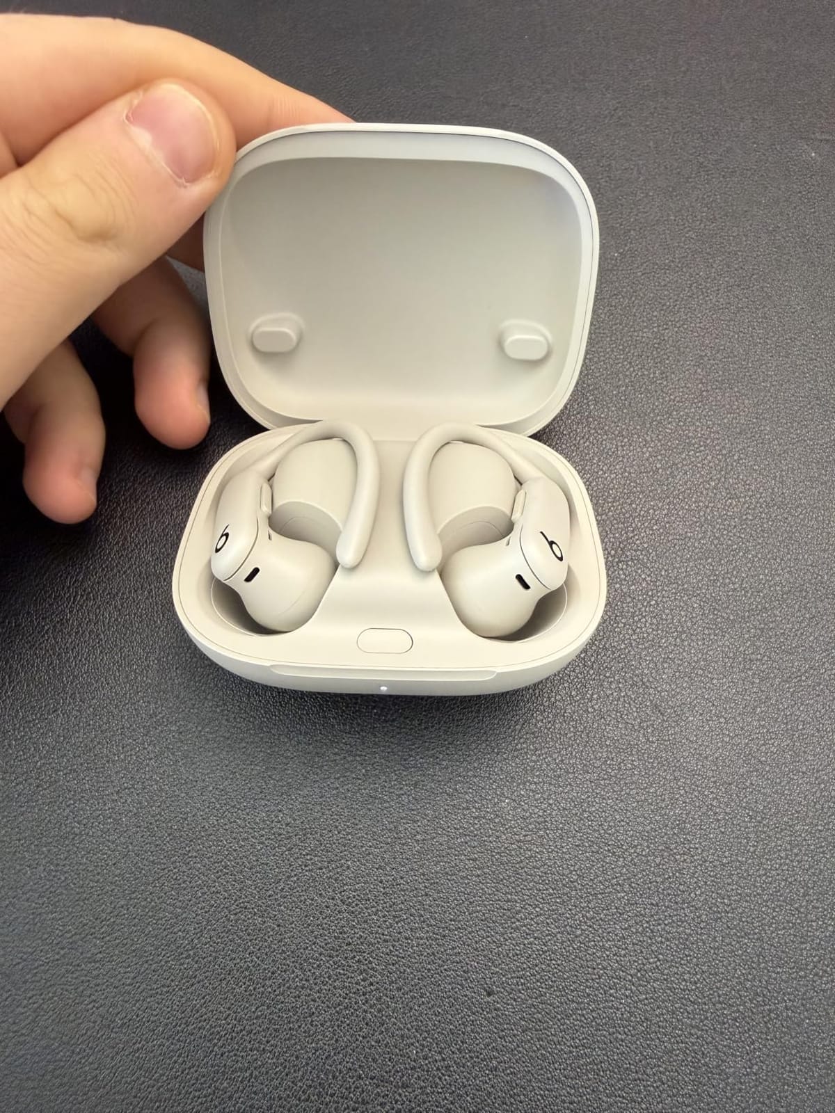Beats Powerbeats Pro 2 customer photo 1