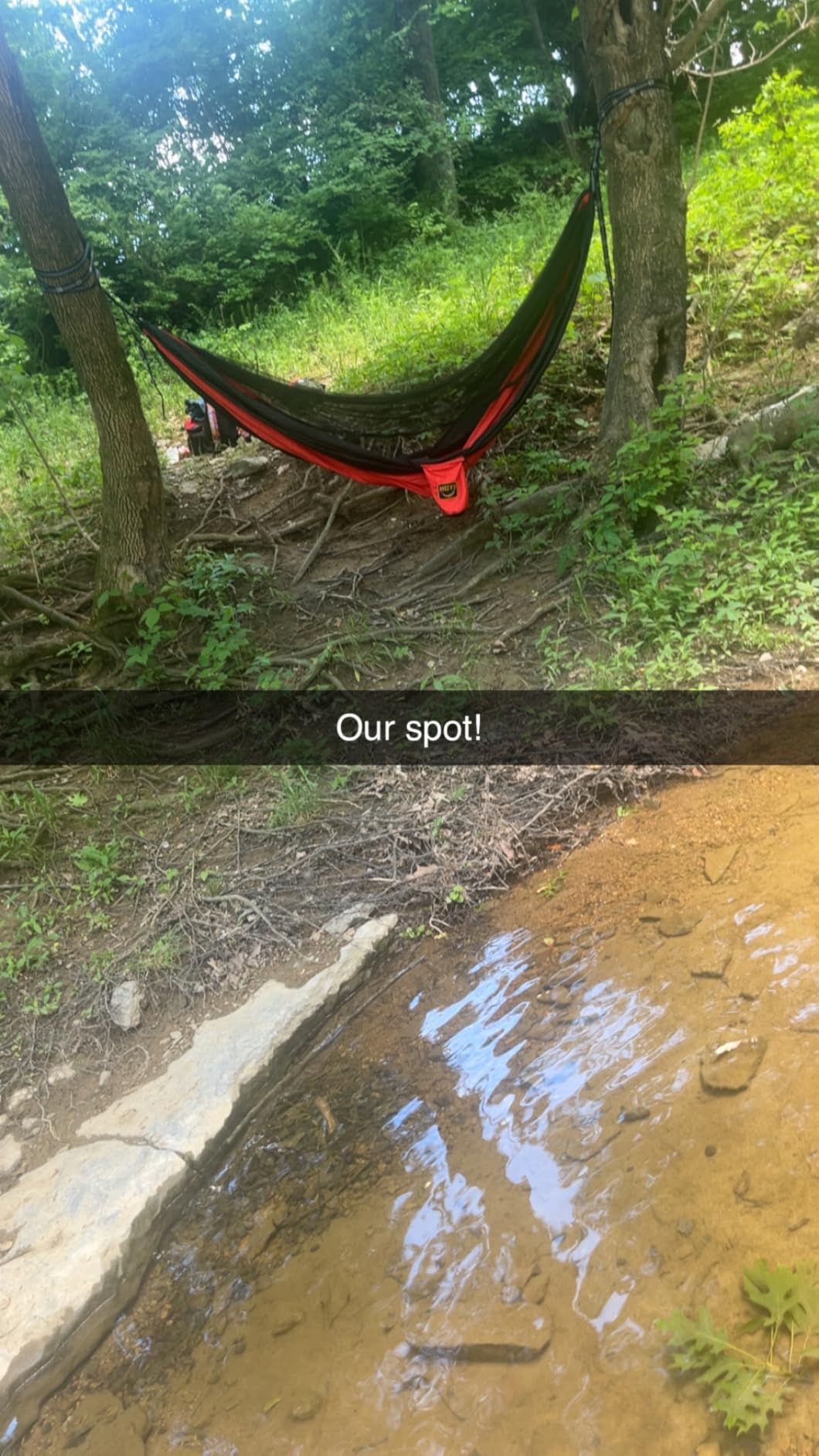 Camping Hammock Mosquito Net,Double & Single Portable Hammocks Hammocks with 2 Tree Straps,Hammock Tent for Travel Camping,Camping Accessories for Indoor Outdoor Hiking Backpacking Backyard Beach customer photo 2