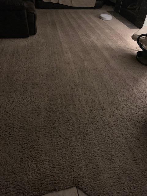Roborock Q10 S5+ customer photo 1