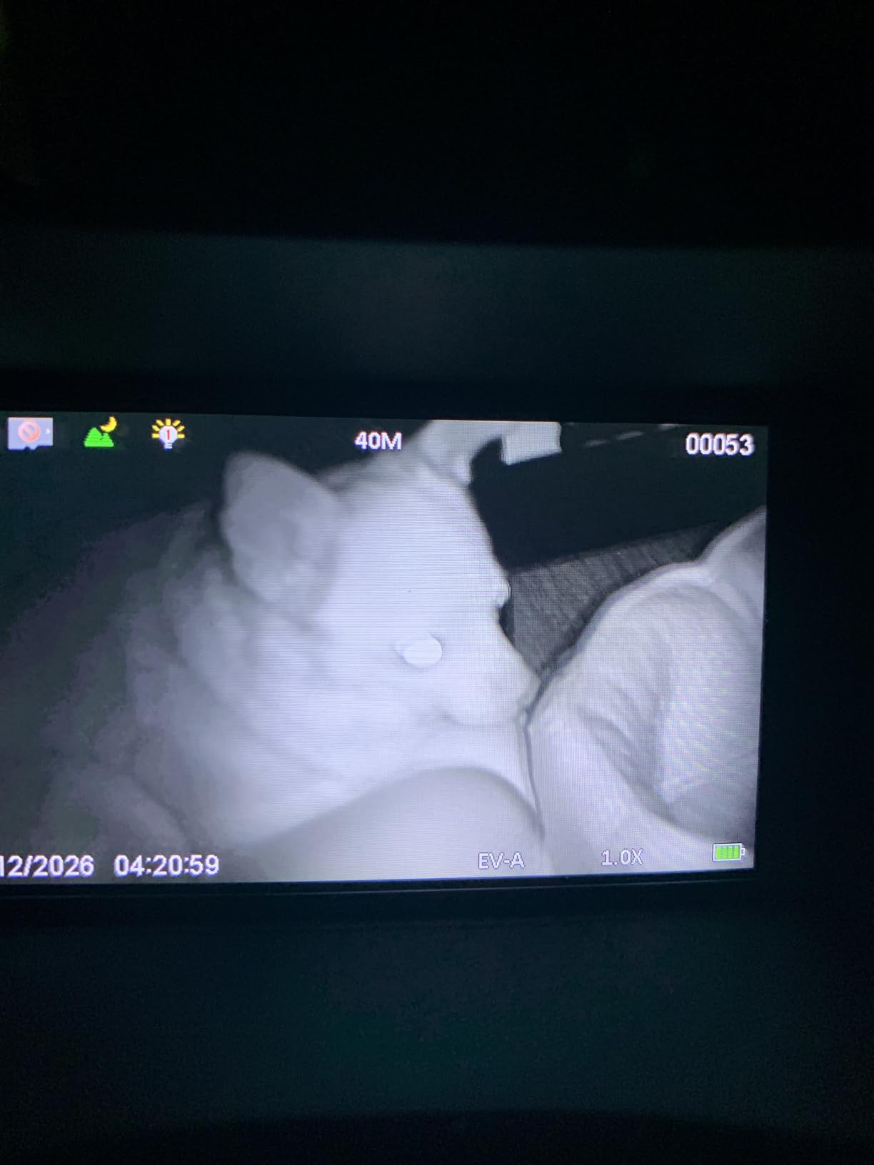 VisioGear 4K Night Vision Binoculars for Adults - Night Thunder X3 customer photo 1