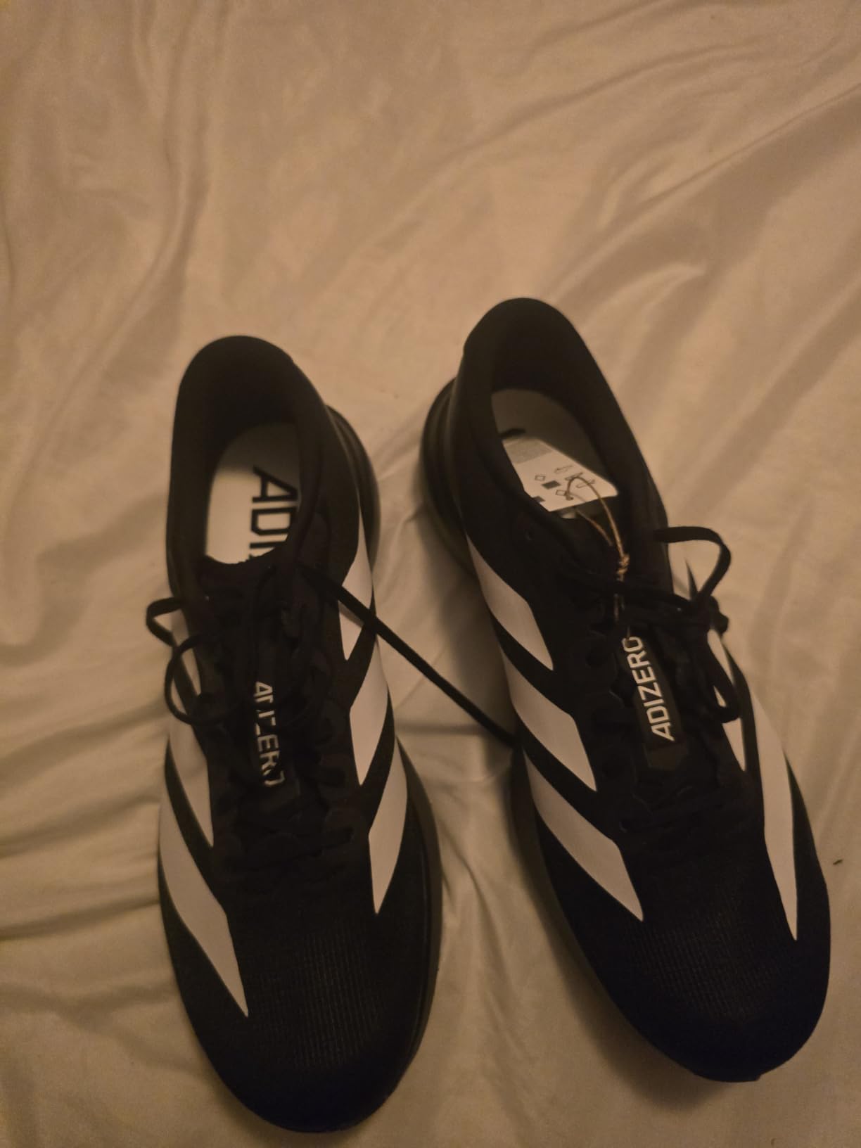adidas Mens Adizero Evo Sl M customer photo 1