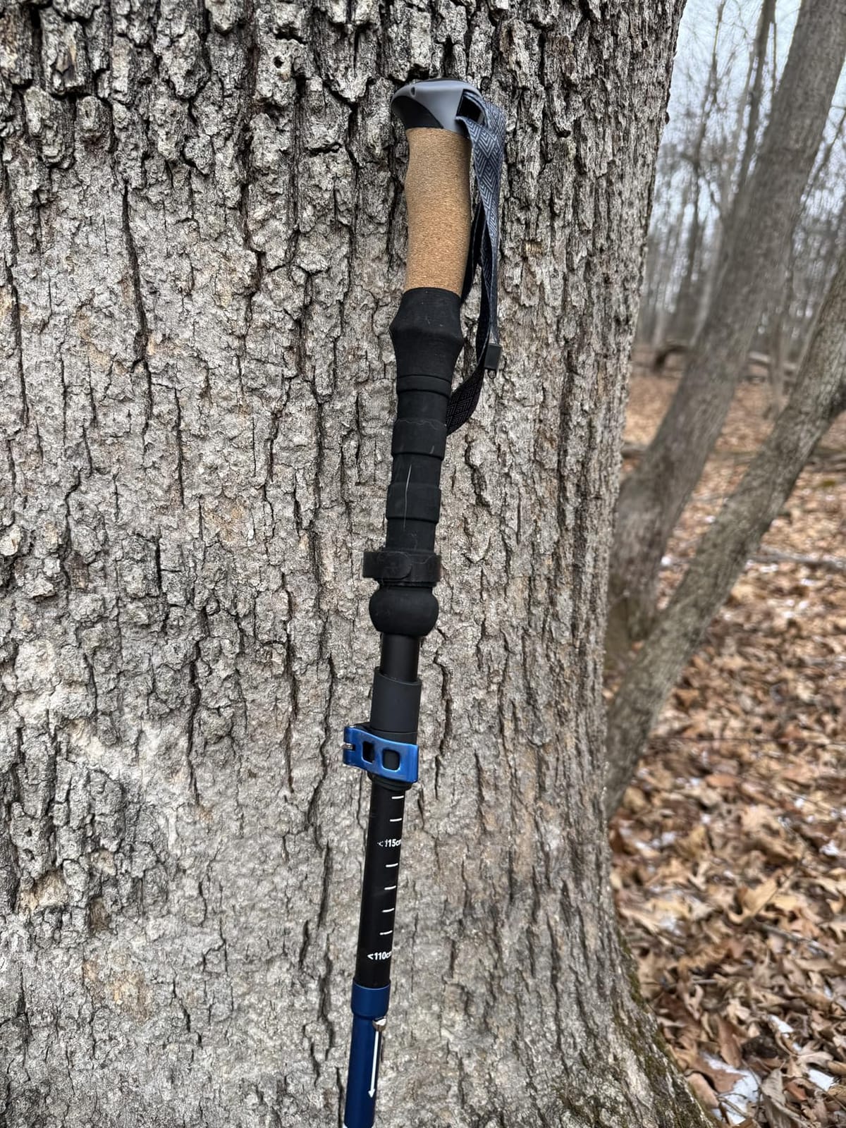 Trekology Trek-Z Cork Grip Collapsible Lightweight Hiking Trekking Poles customer photo 2