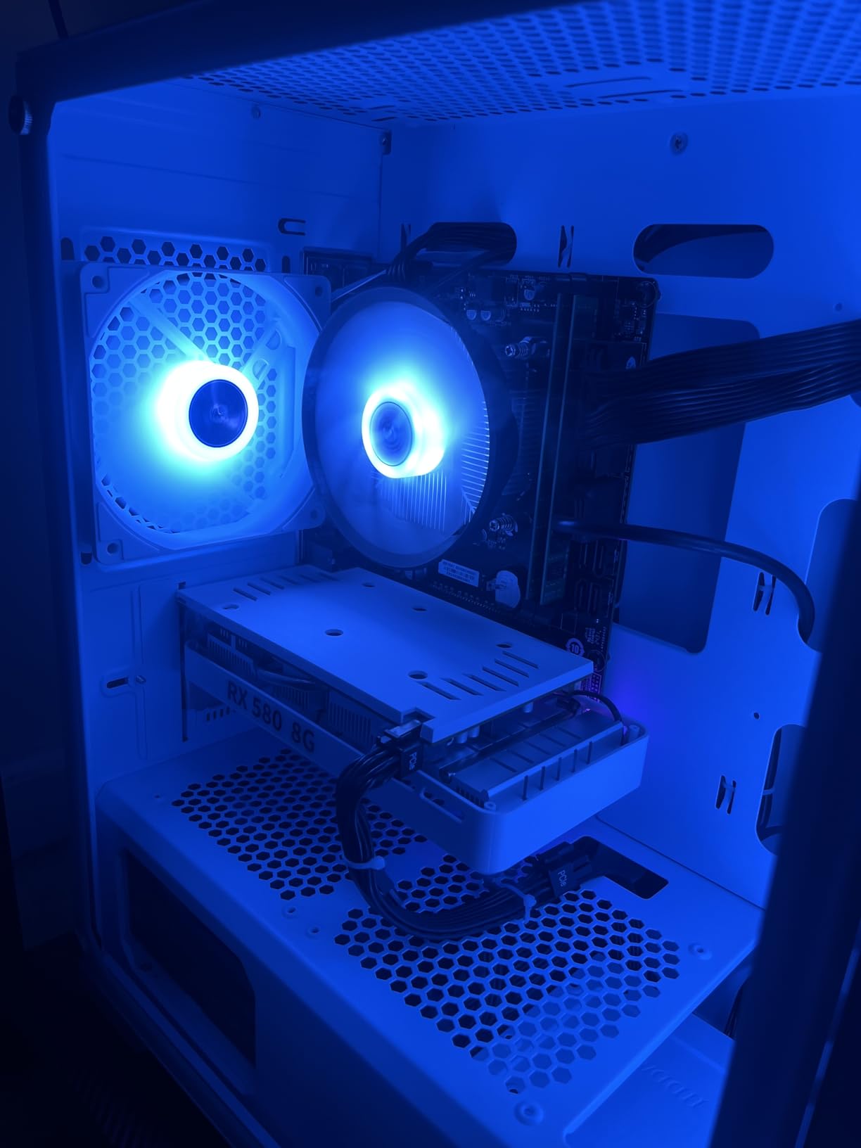 Blackout Eclipse customer photo 1