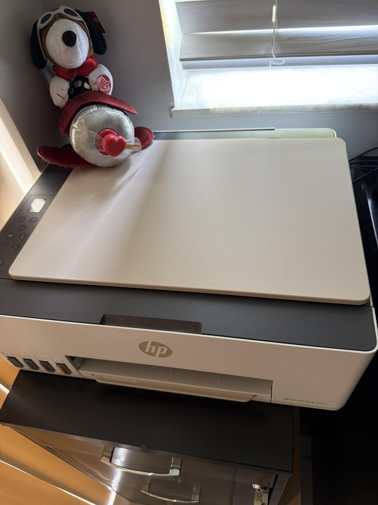 HP Smart Tank 5003 customer photo 1