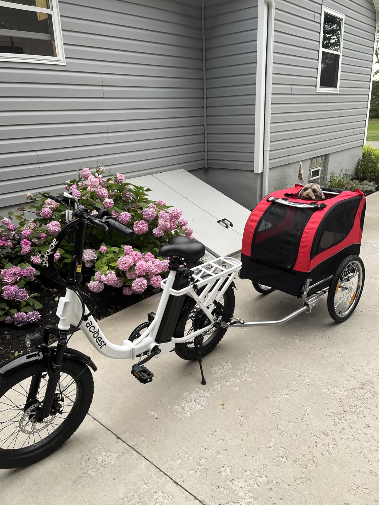 Dog Bike Trailer - HAPPAWS Dog Trailer for Bicycle, Cargo Cycle Trailers Wagon Cart Pet Bike Carrier w/ 3 Doors, Galvanized Steel Wheels, Safety Flag, Easy to Connect&Disconnect, Collapsible to Store customer photo 2